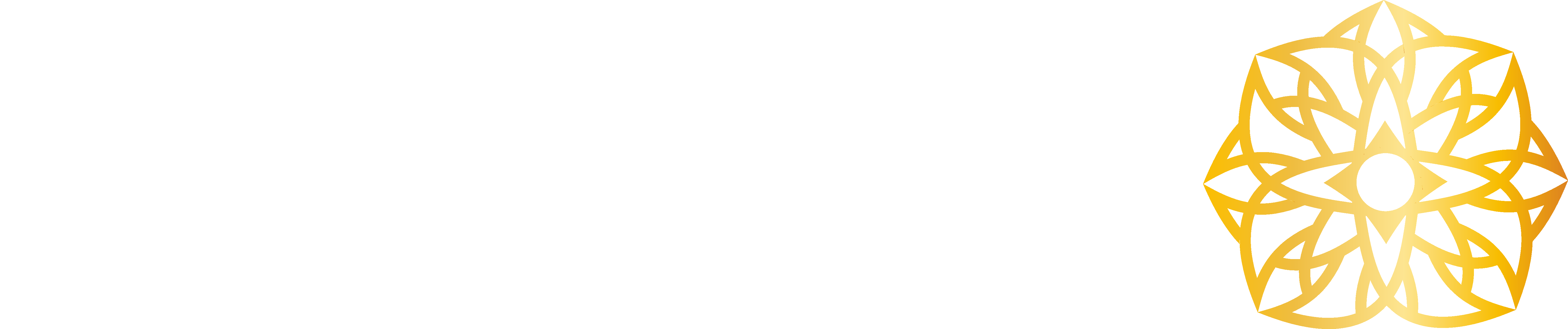 Lotus Exchange logo